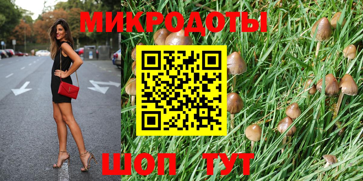 Соль-Илецк  Псилоцибиновые грибы Psilocybe  Вход с VPN  Псилоцибиновые грибы Cubensis 